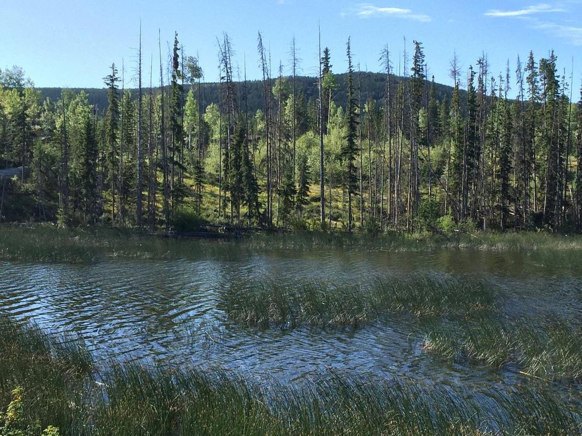 Lac Le Jeune Nature Resort Logan Lake Exterior foto